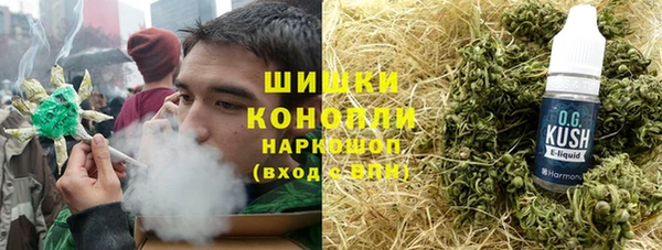 СК Каменногорск